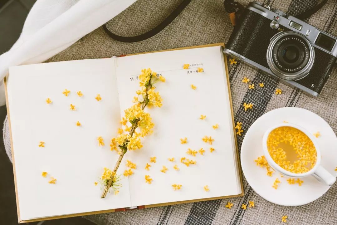 一个成语里含有近义词和反义词,太奇妙了吧