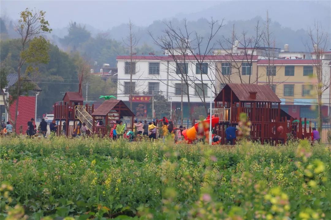 冷杉良田影视基地携手江西航亚公司 秋千,跷跷板,滑滑梯等等 四季花海