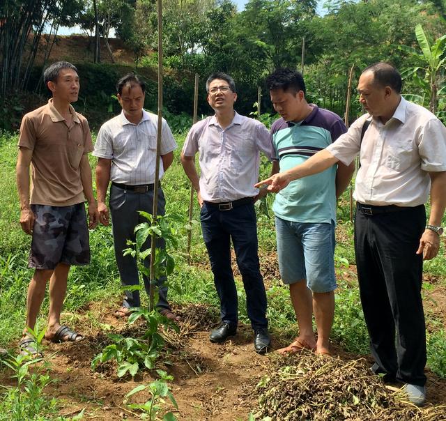 张宗坤全心全意办实事真抓实干为脱贫记浦北县张黄