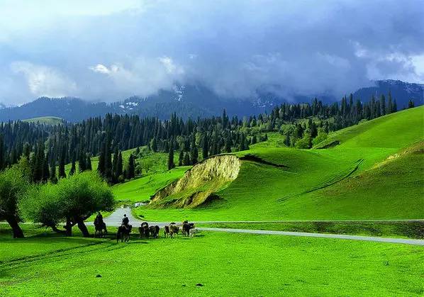 乌兰红梅《把你带回我的草原》非常好听的草原