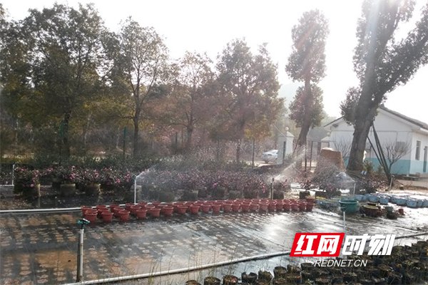 岳阳市gdp_长沙、岳阳、常德,2020年第一季度GDP数据(2)
