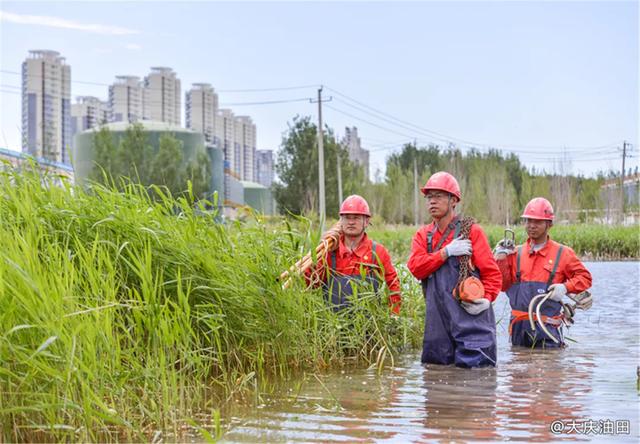 大庆人口2019_大庆人口趋势(2)