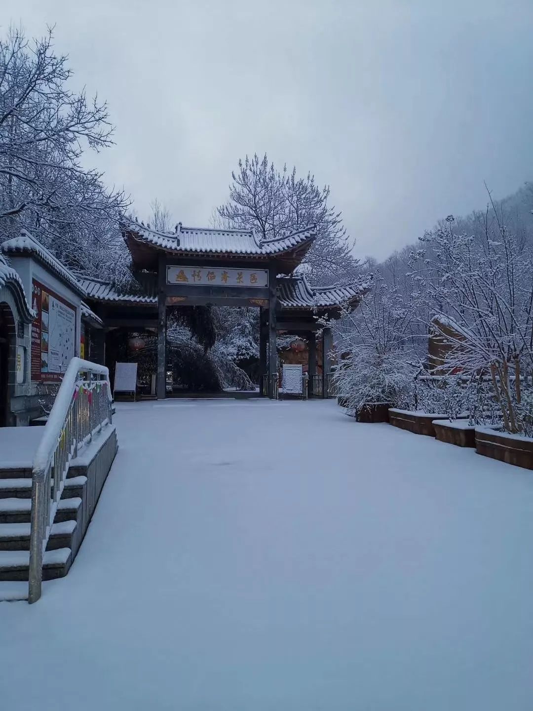 西泰山情侣古道雪景别墅区的竹林折弯了腰西泰山大酒店雪景西泰山公寓