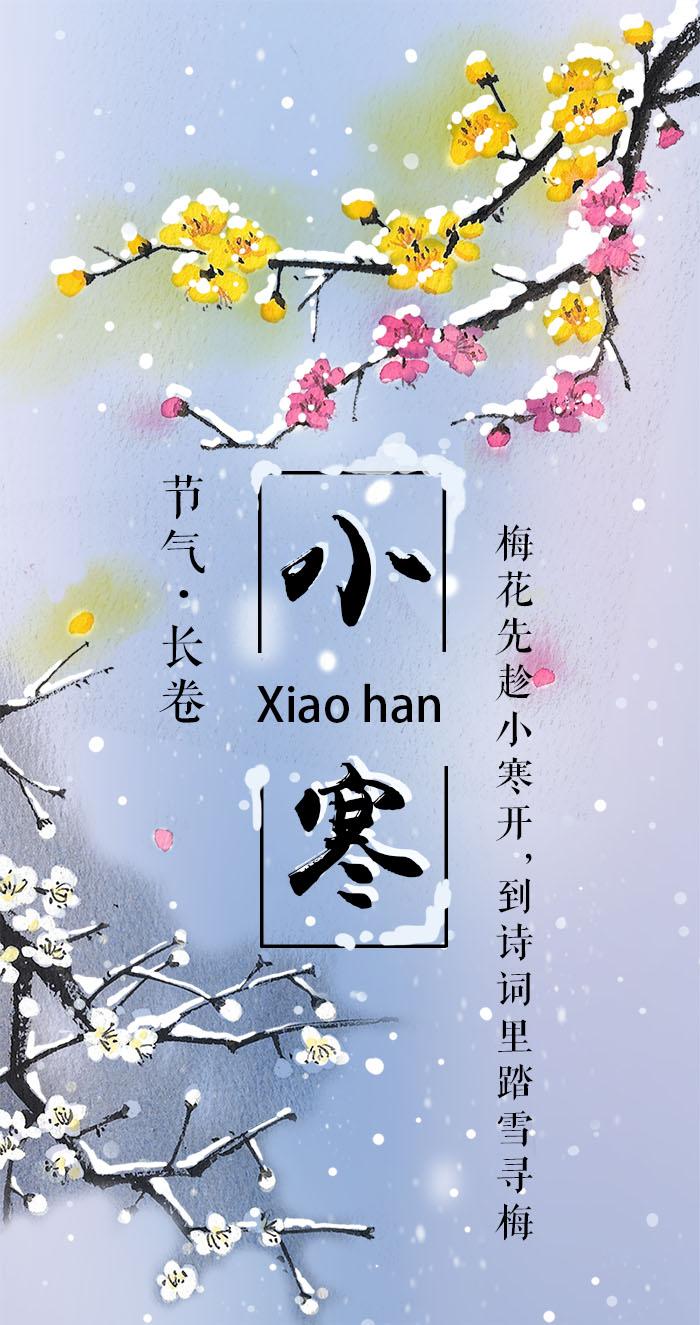 小寒·长卷丨梅花先趁小寒开,到诗词里踏雪寻梅