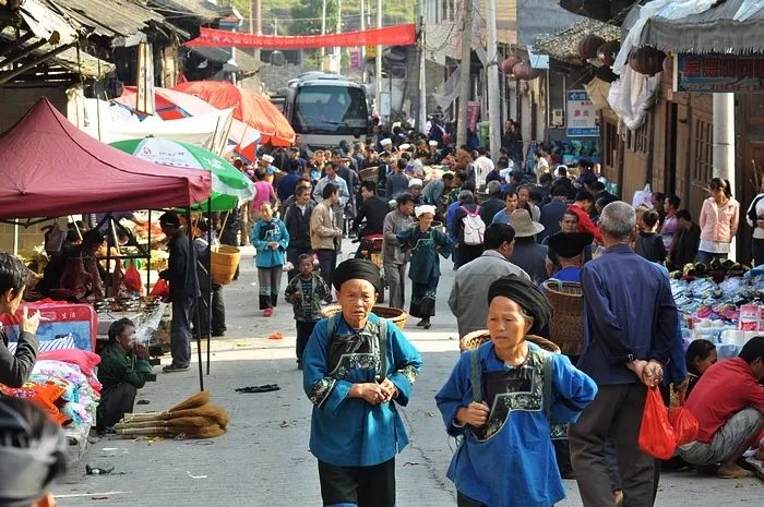 贵州普定县多少人口_贵州茅台(2)