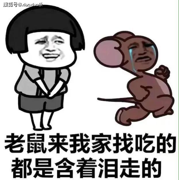 f7488a974f9a4bd5a914f9f18f3e7490.jpeg
