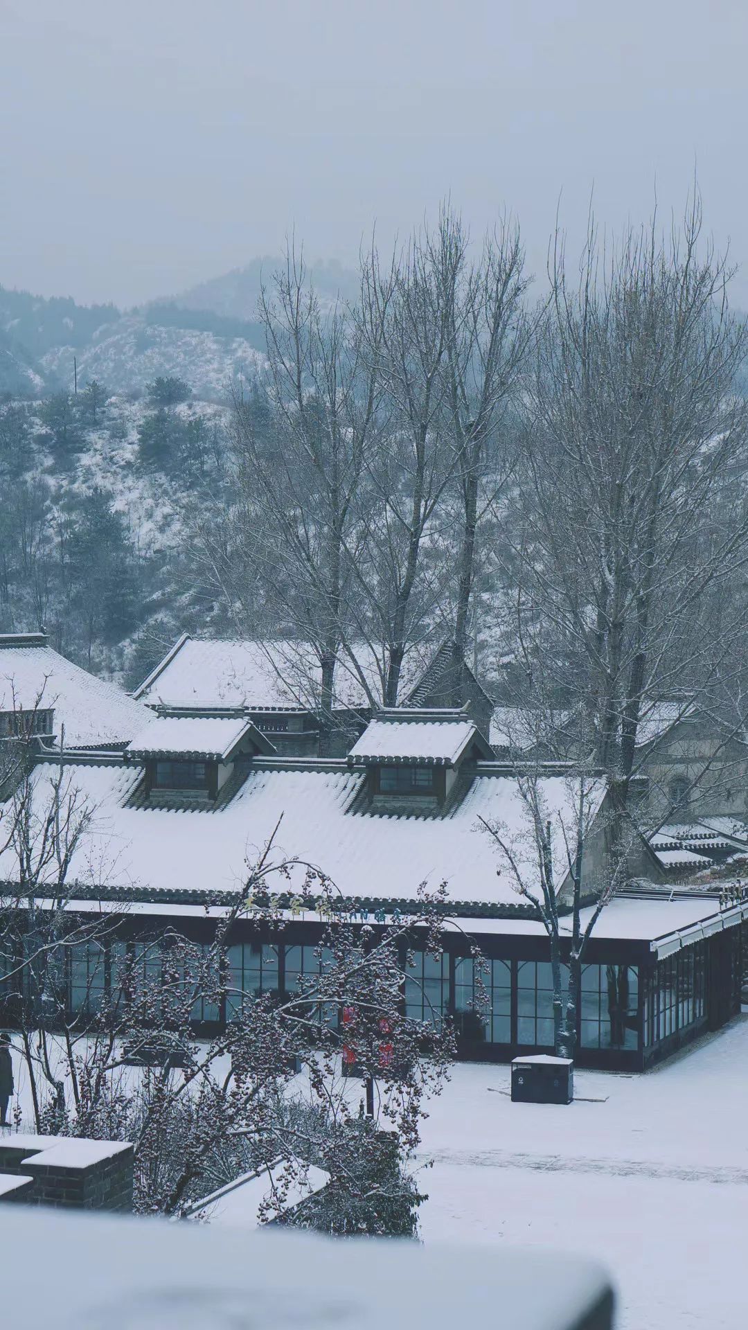 2020年的第一场雪,北京变了模样!_雪景