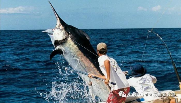 勺子-拖钓鱼饵、诱饵Marlin