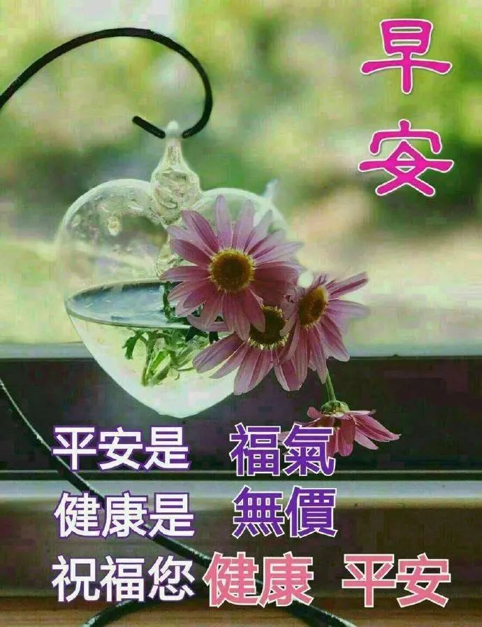 112e42f095d34726aab36f63dab29de4.jpeg