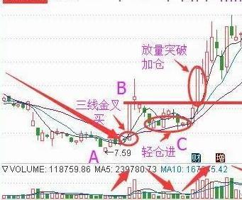 13d898b97ad146ecb51109f875abe5af.jpeg