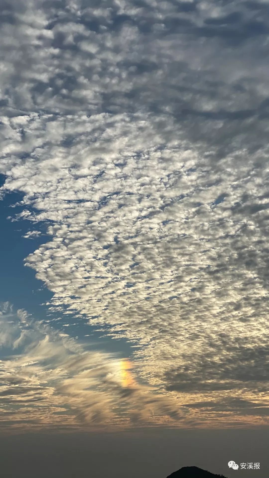 什么样的天空飘着什么样的雪花 1497b77a48d0423e9b0e965851d98bcb.jpeg