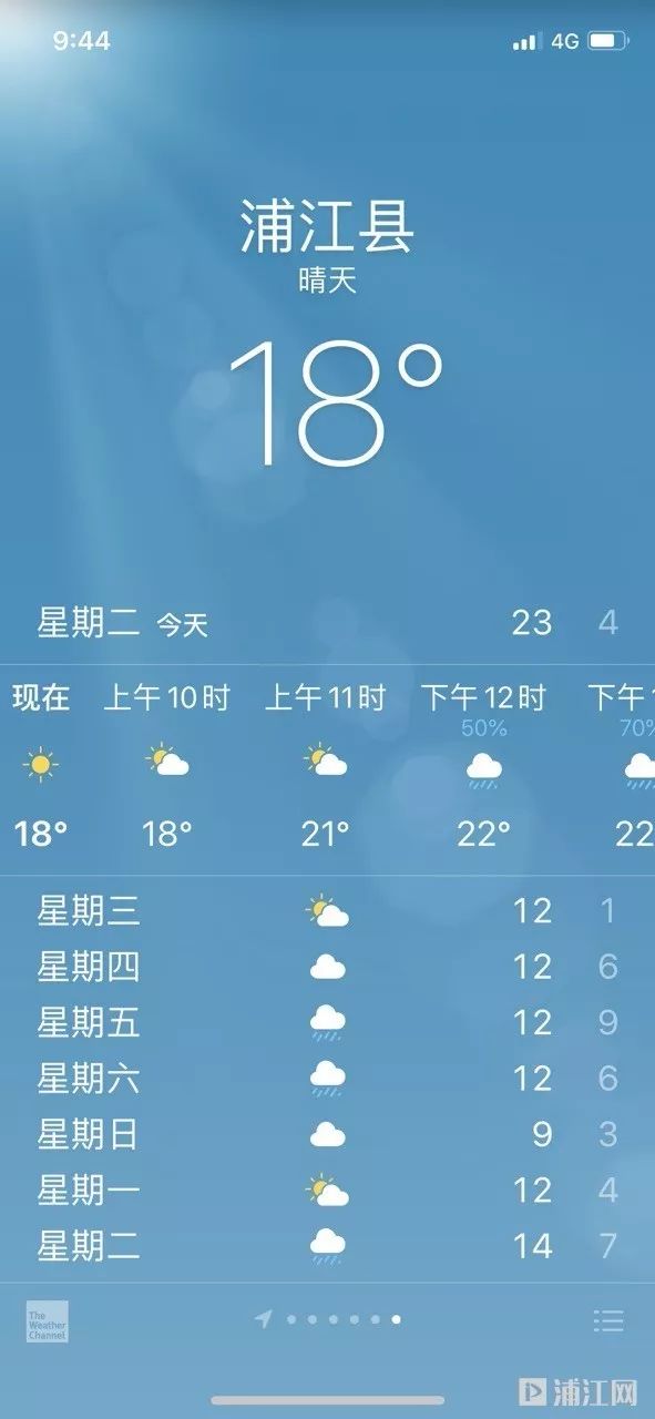 仿佛过了个假冬天!今天,浦江最高温度竟有24