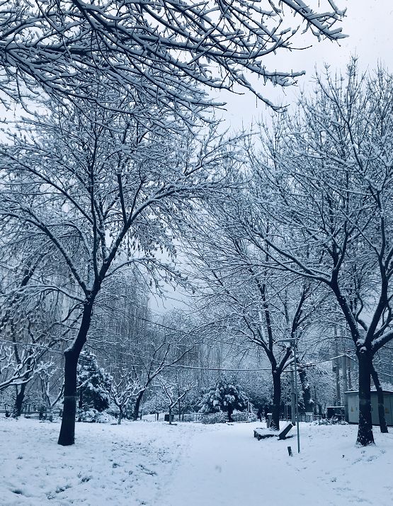 下雪天到底要不要打伞南北方又吵翻了终极解释来了