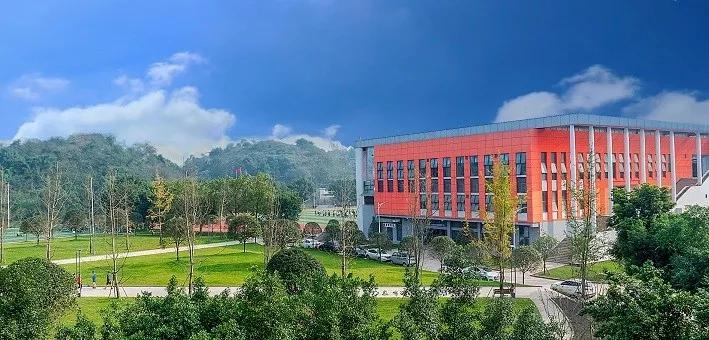 2020重庆美术双上线_2017重庆高考一分一段表(美术高职对口艺术类专科(2)