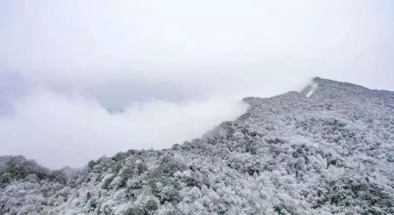 【优惠券】赏雪景,喜过羌族年,29.9元抢购九皇山单人秋冬季套票!