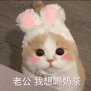 3d5a640d4b544ccca2aab3a3a438fe56.gif
