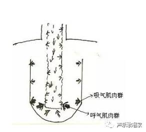 独家分享歌唱发声自我训练速成法(建议收藏)