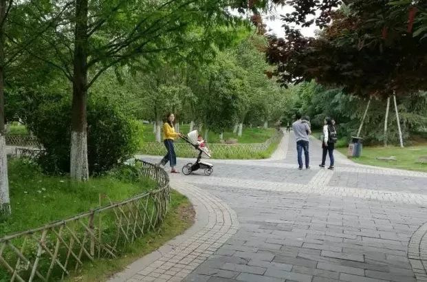 天台县总人口有多少人