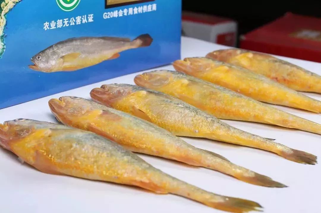 怎么晒鱼干好 4ce945b80f91473ab470696a1b1d2085.jpeg