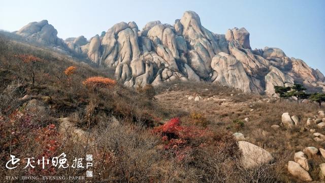 驻马店黑石山下"粉条村"