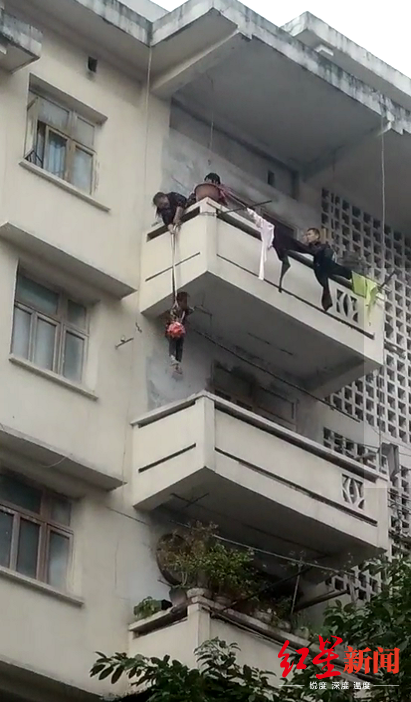 为了救猫，外婆将7岁外孙从5楼吊下3楼