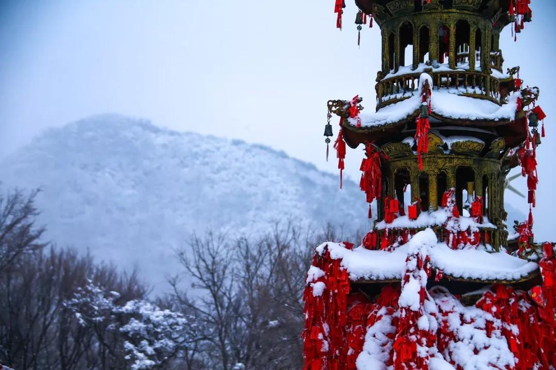 雪后的云台山惊艳整个冬天!