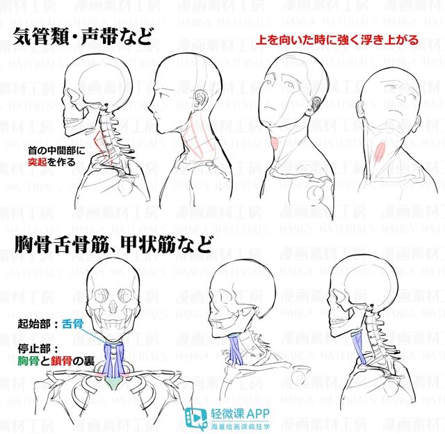 成语骨什么化_成语故事手抄报(3)