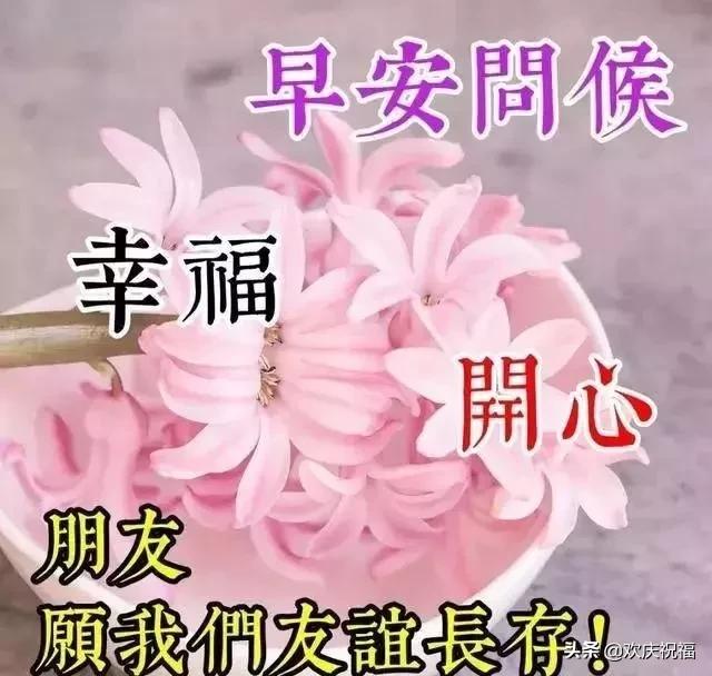 6dfdd0461d734f4facba8f29d075add2.jpeg