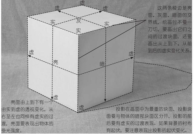 素描必学知识什么是三大面五大调又怎么画看完你就知道了