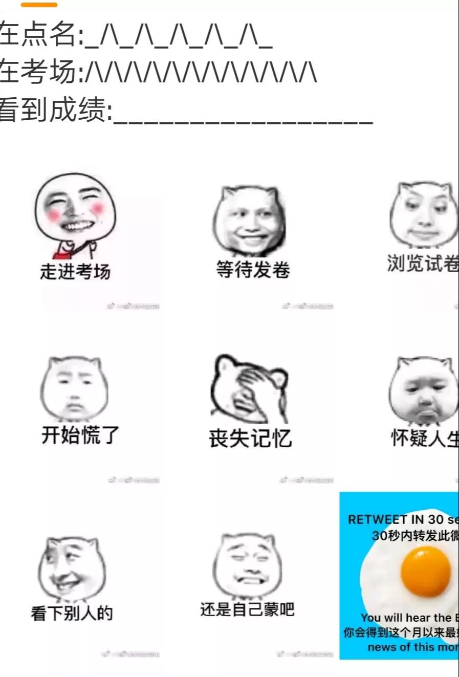 79842cb191a84ccfb5e0adabb067f926.jpeg