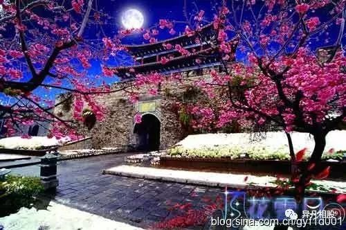 风摩什么成语_什么风拂面四字成语(2)