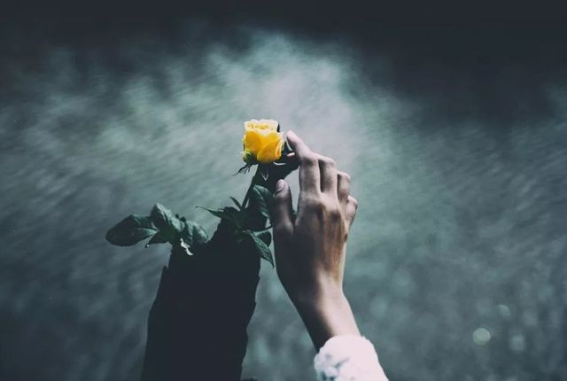82d85de965aa48f08bce645e2d6970a9.jpeg