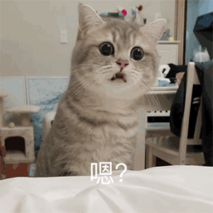 表情包 | 演员   认真的雪