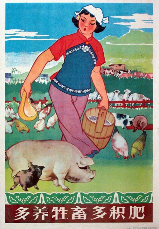 一组养猪题材老旧年画宣传画欣赏