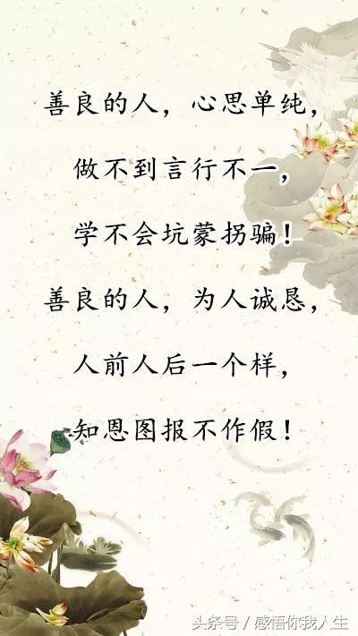 临水简谱_临水式金弹子盆景图片(3)