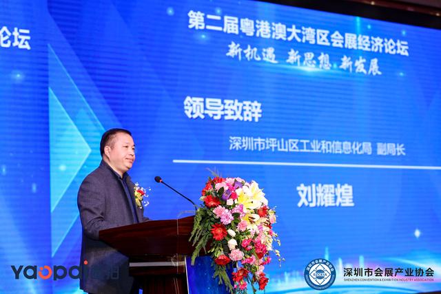 深圳坪山区经济总量增长示意_深圳坪山区(2)