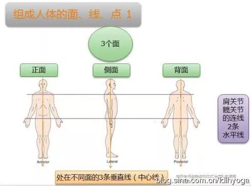 身体评估对于习练瑜伽的重要性