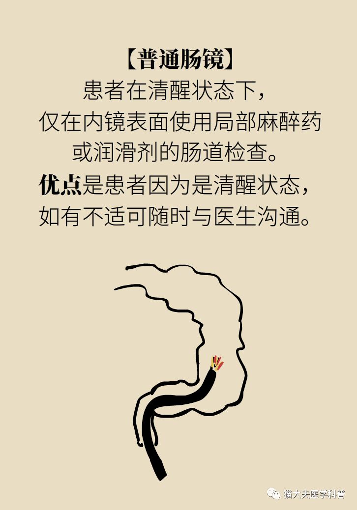 8c7b21e5de6141f190661ae65a1c84df.jpeg