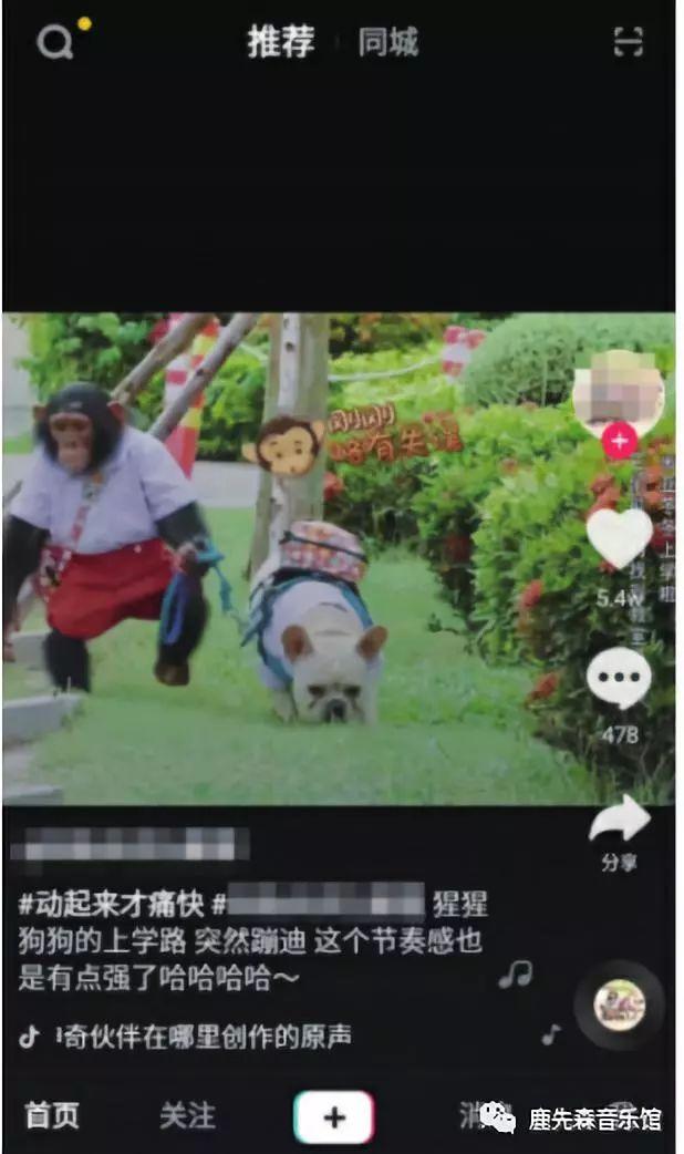 文章配图-3