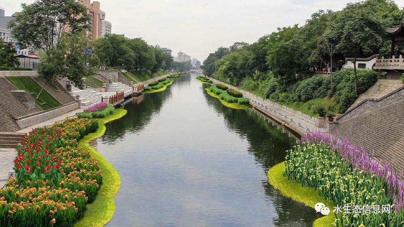 12种常见河道生态修复方法汇总