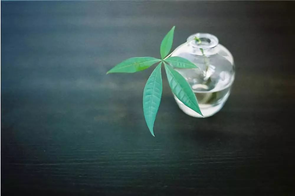 一辈子开心的活法,记住两句话