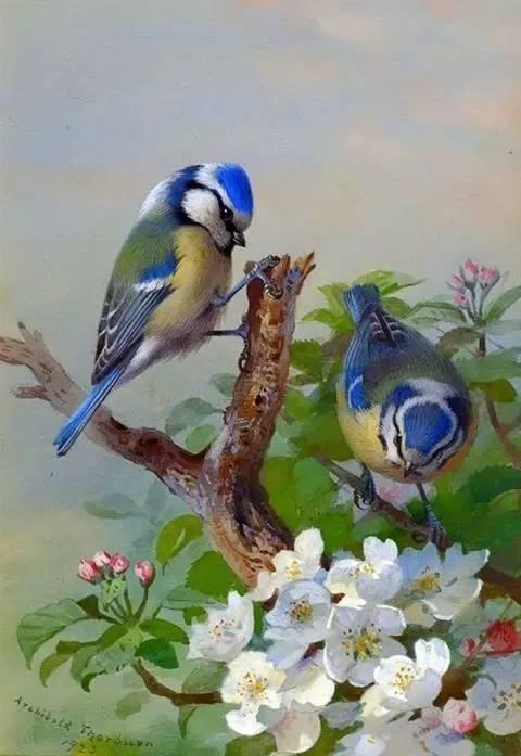 油画世界:鸟类绘画欣赏