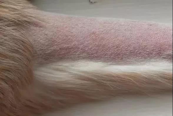 a266011908ee49f88aeff9aa12229a87.jpeg