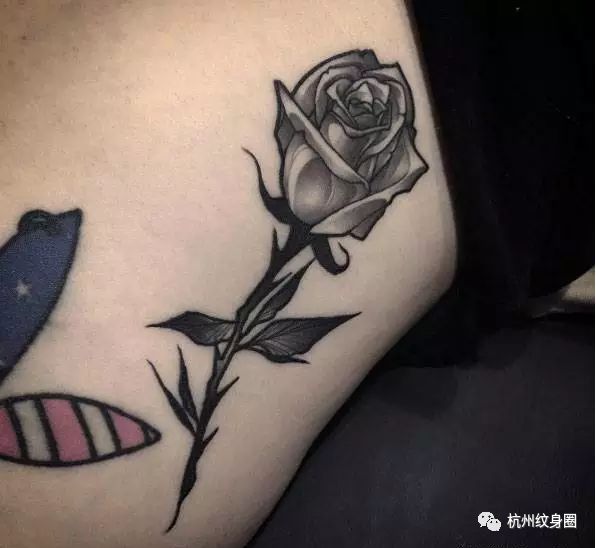 tattoo | 纹身素材:黑玫瑰