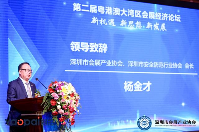 深圳坪山区经济总量增长示意_深圳坪山区(2)