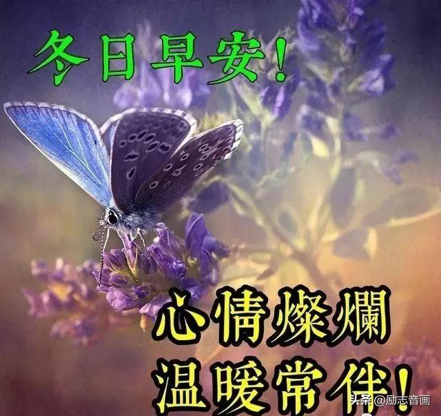a923ecf2358841fc86845fcef54fe530.jpeg