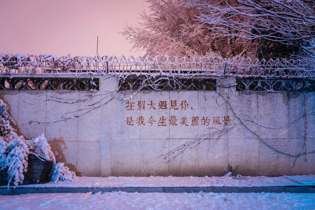 2020惠园初雪丨初雪为欢谣,再雪犹喜视