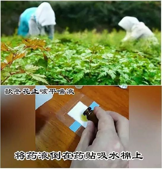 支气管炎喘不过气怎么办