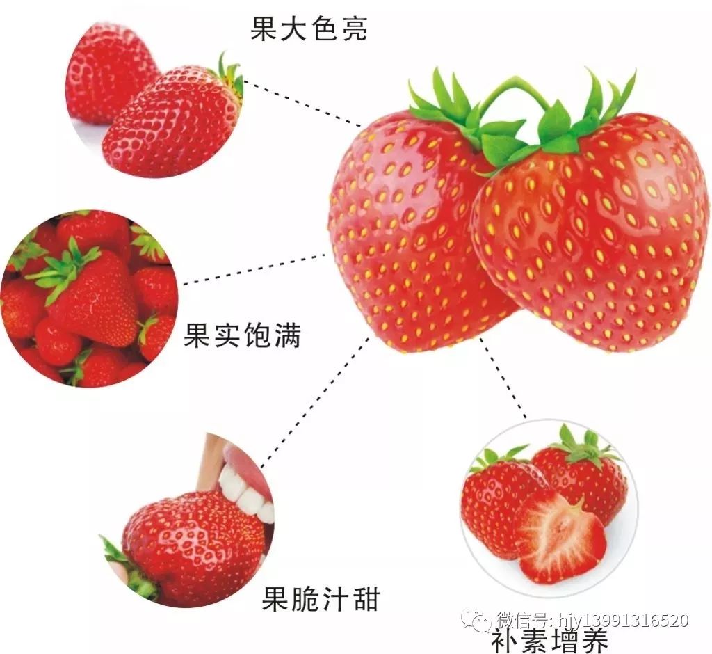 b1b20a7441cd4bf5bc8c80508e4e4359.jpeg