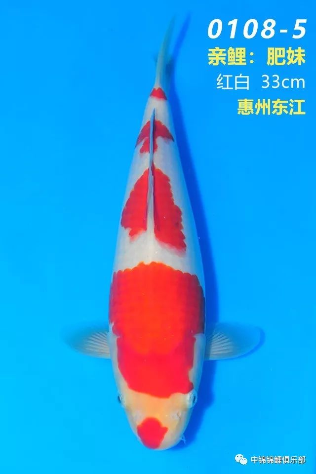 b78ce63428c14fbb98f62d1a762fb193.jpeg